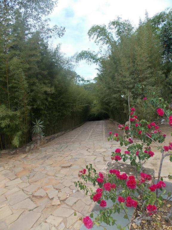 Pousada Bosque Do Lapao เลนโซยส์ ภายนอก รูปภาพ
