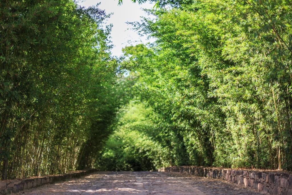 Pousada Bosque Do Lapao เลนโซยส์ ภายนอก รูปภาพ